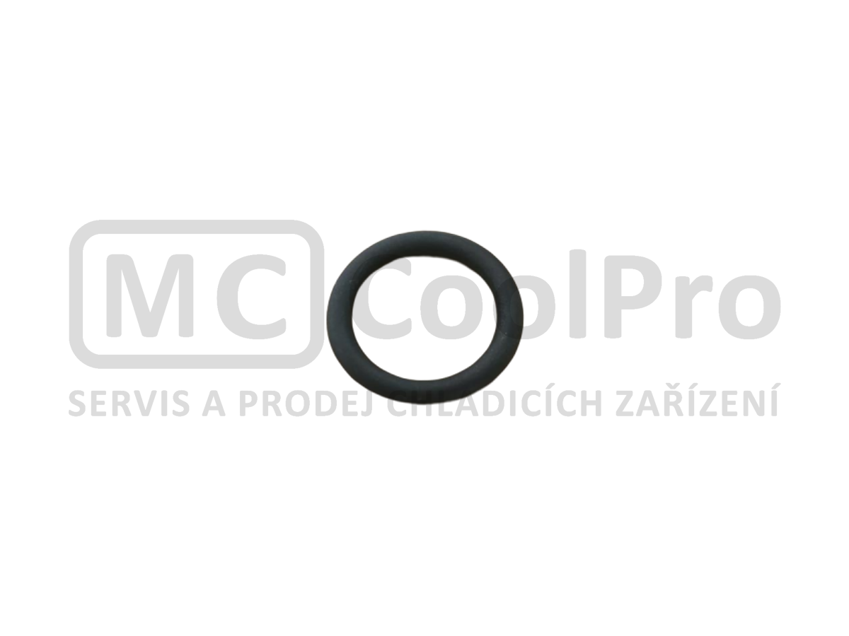 Těsnění čerpadla zadní Carpigiani