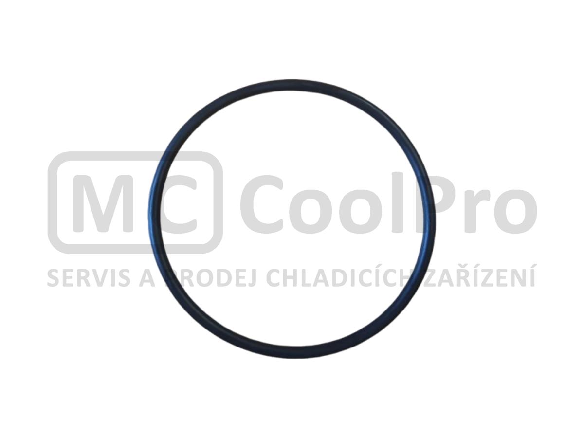 Těsnění čerpadla velké Carpigiani